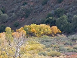 2008Fallcolors-34